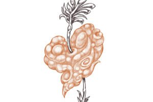 2-fotor-202505271904