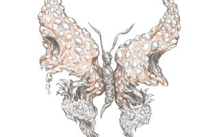 6-fotor-2025052719153