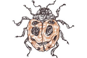 7-fotor-202505271912