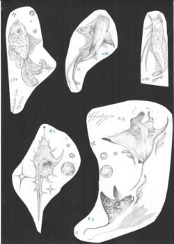 photo_2025-05-21_21-42-08 photo_2025-05-21_21-42-08