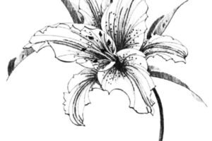 WhatsApp Image 2025-08-31 à 15.27.33_11075b8f WhatsApp Image 2025-08-31 à 15.27.33_11075b8f