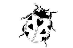 WhatsApp Image 2025-08-31 à 15.27.33_13efa82c WhatsApp Image 2025-08-31 à 15.27.33_13efa82c