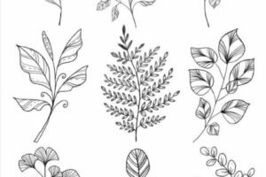 WhatsApp Image 2025-08-31 à 15.28.06_a781bd76 WhatsApp Image 2025-08-31 à 15.28.06_a781bd76