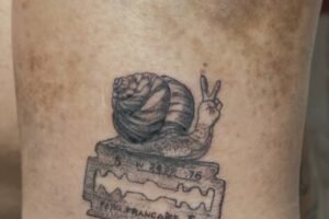 photo_2026-02-07_13-56-47 photo_2026-02-07_13-56-47