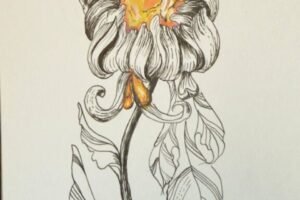 Style personnel Colibri