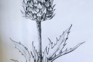 Style personnel Colibri